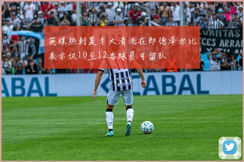 英媒热刺夏季大清洗在即德泽尔比表示仅10至12名球员可留队